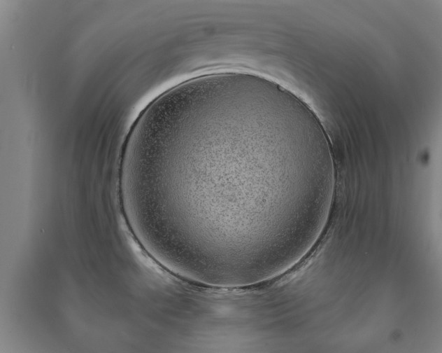 X0000091231534200708161706