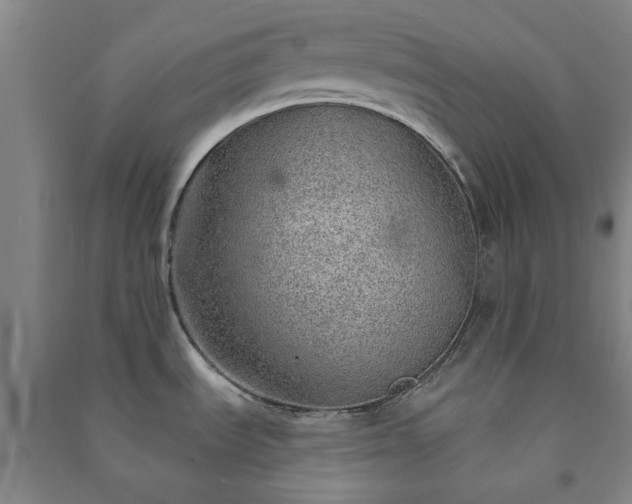 X0000091231535200708161706