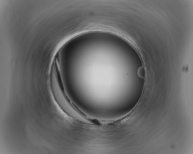 X0000091231536200708161706