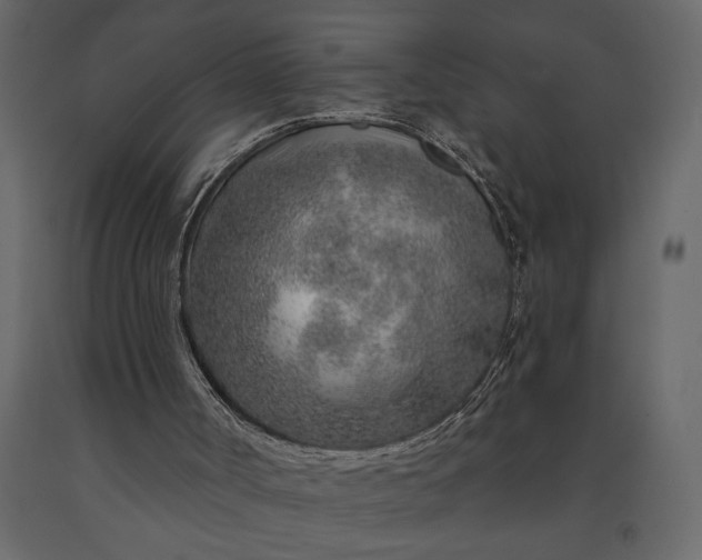 X0000091230002200708231705