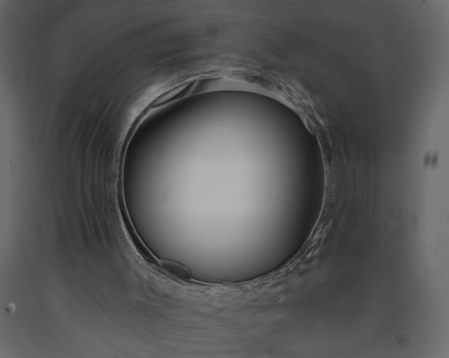 X0000091230003200708231705
