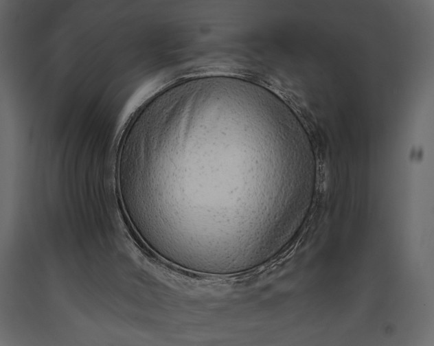 X0000091230004200708231705