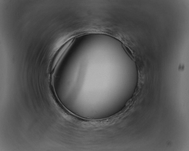 X0000091230005200708231705