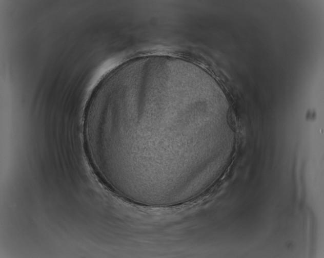 X0000091230006200708231705