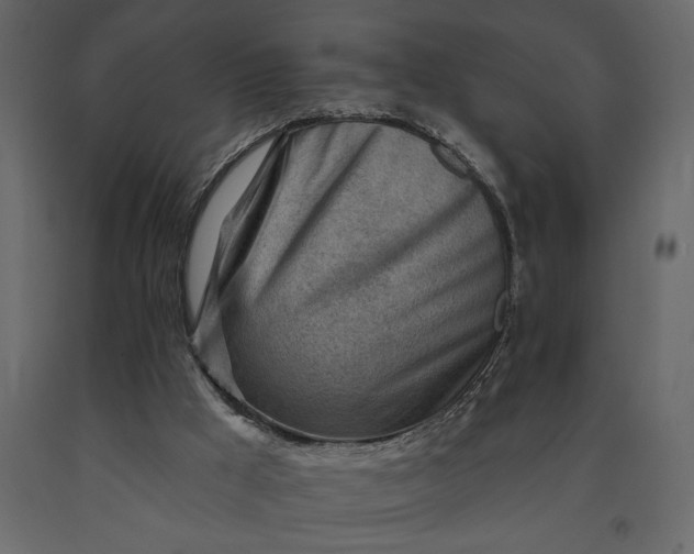 X0000091230009200708231705