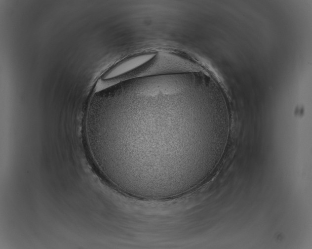 X0000091230010200708231705
