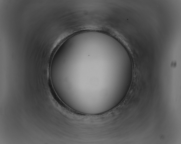 X0000091230011200708231705