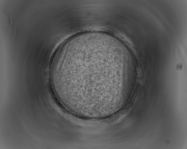 X0000091230012200708231705