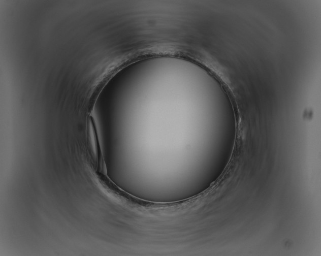 X0000091230013200708231705