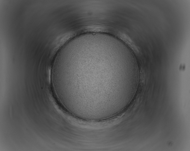 X0000091230014200708231705