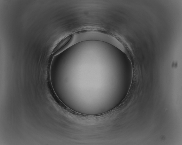 X0000091230015200708231705