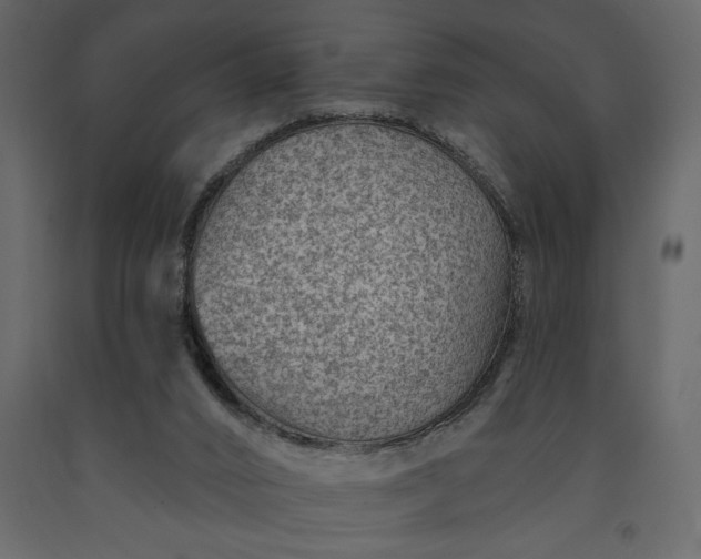 X0000091230016200708231705