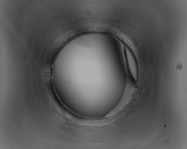 X0000091230017200708231705