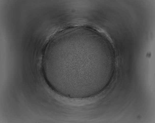 X0000091230018200708231705
