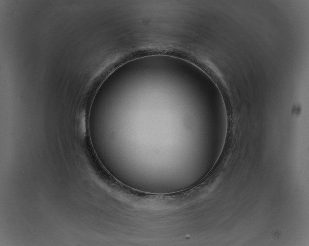 X0000091230020200708231704