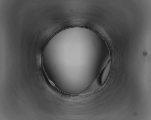 X0000091230021200708231704