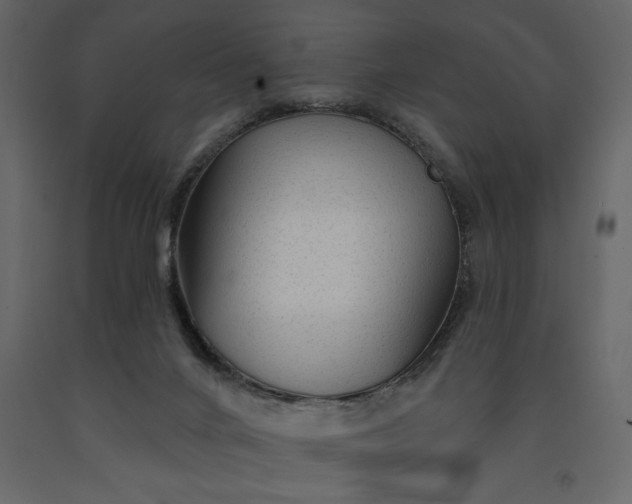 X0000091230024200708231704