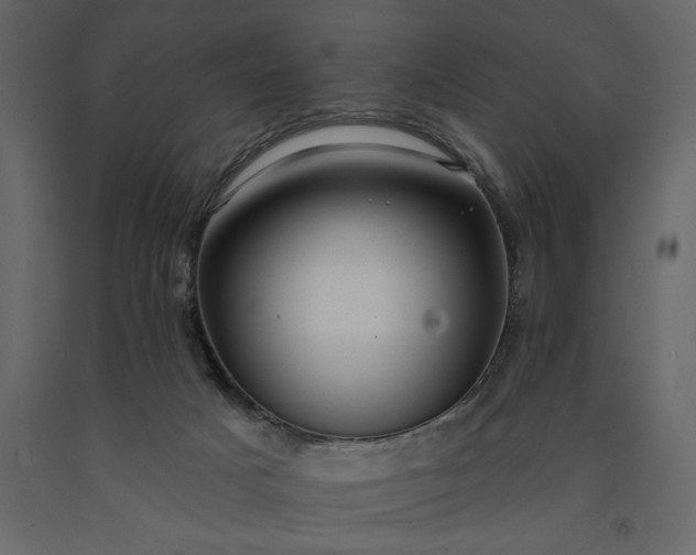 X0000091230025200708231704