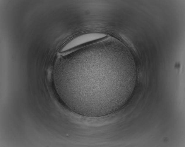 X0000091230026200708231704