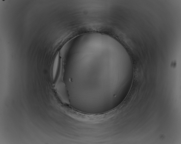 X0000091230027200708231704
