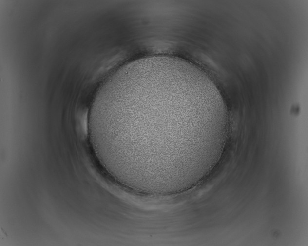 X0000091230028200708231704