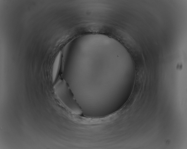 X0000091230031200708231704