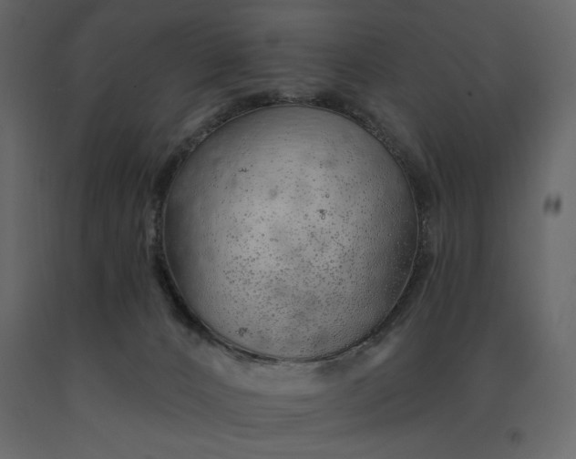 X0000091230032200708231704
