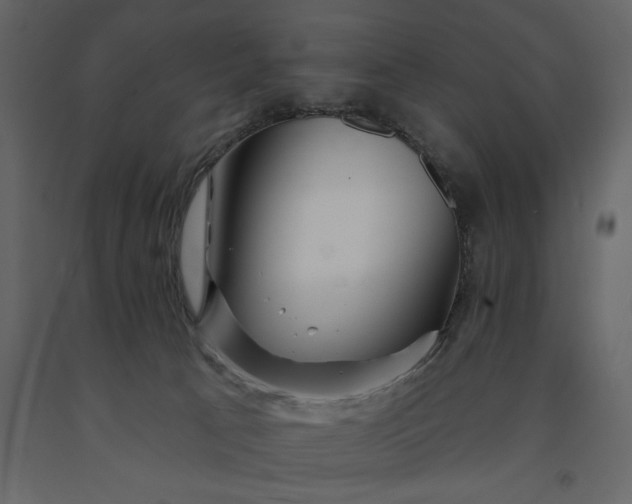 X0000091230033200708231704