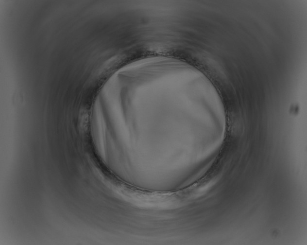 X0000091230036200708231704
