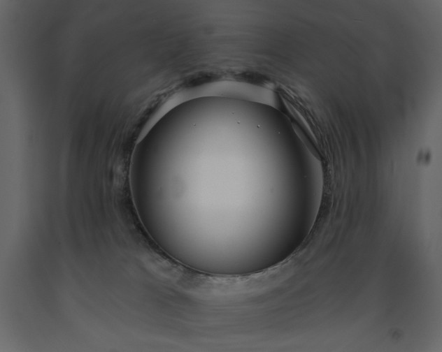 X0000091230037200708231704