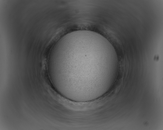 X0000091230038200708231704