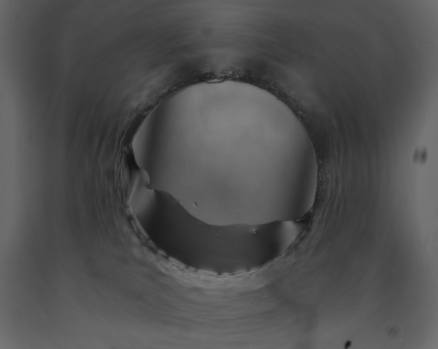 X0000091230039200708231704