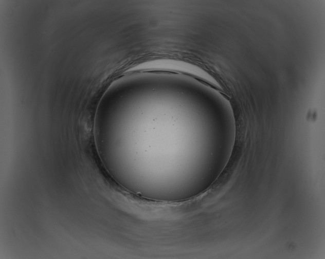 X0000091230040200708231704