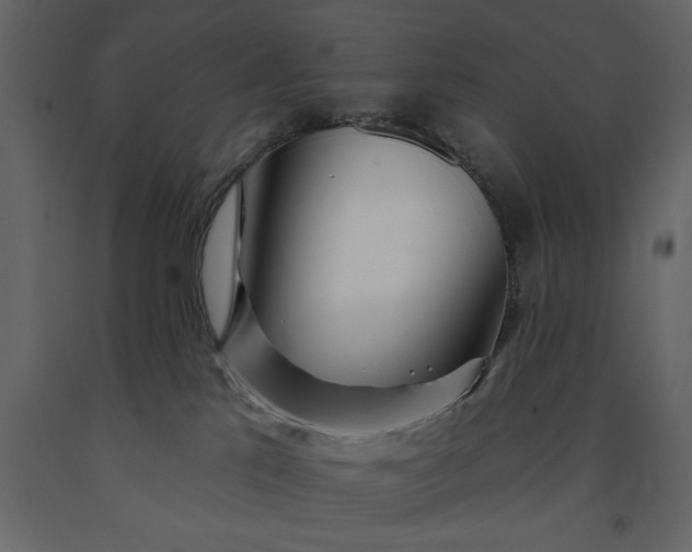 X0000091230041200708231704