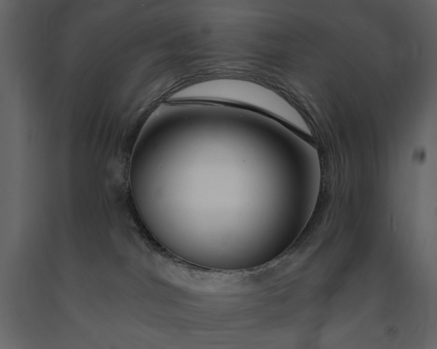 X0000091230044200708231704