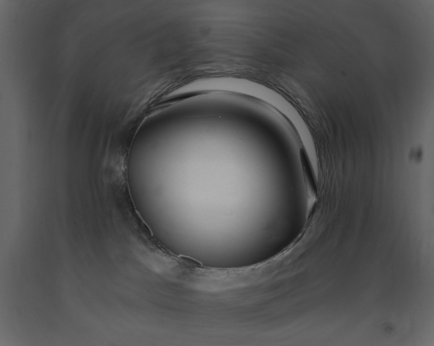 X0000091230045200708231704