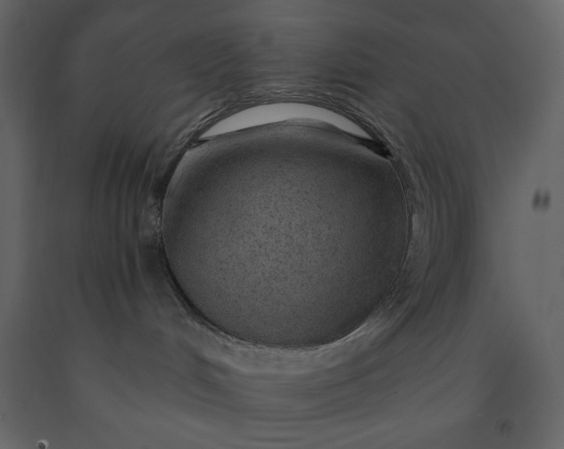 X0000091230048200708231704