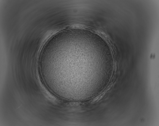 X0000091230049200708231703