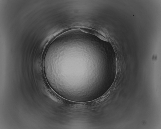 X0000091230050200708231703