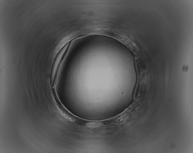 X0000091230051200708231703