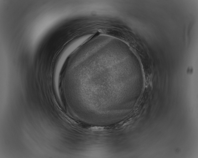 X0000091230052200708231703