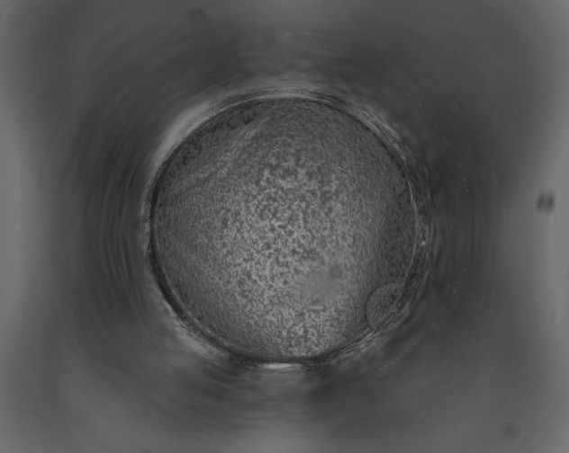 X0000091230053200708231703