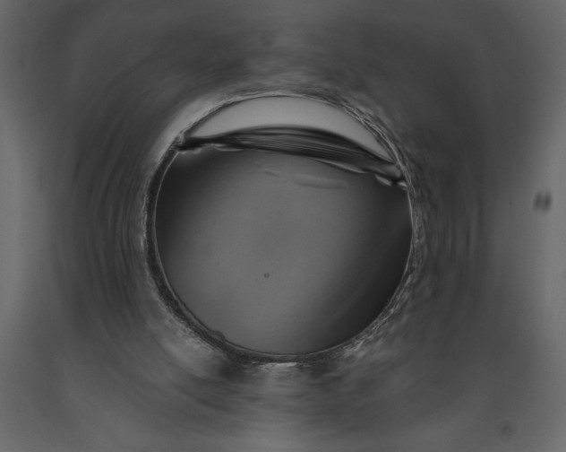 X0000091230054200708231703