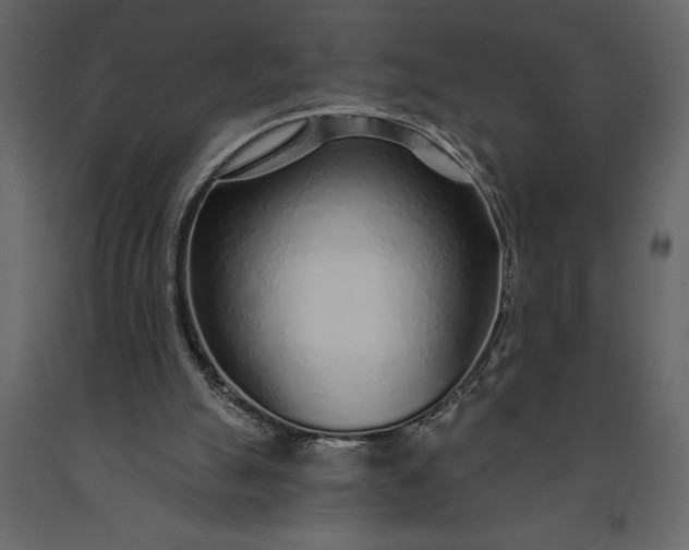 X0000091230055200708231703