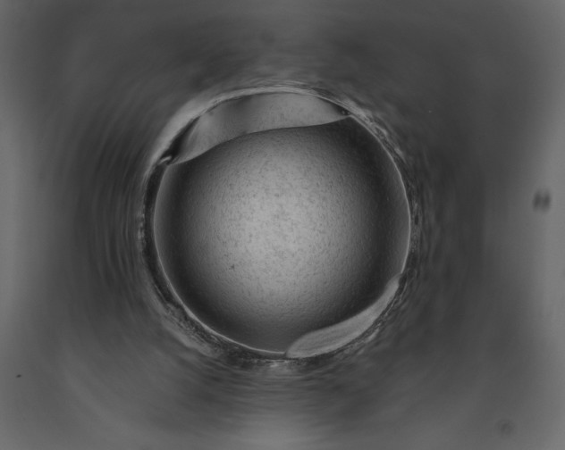 X0000091230056200708231703