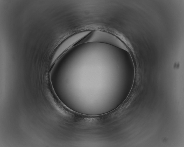 X0000091230057200708231703