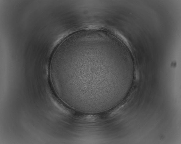 X0000091230059200708231703