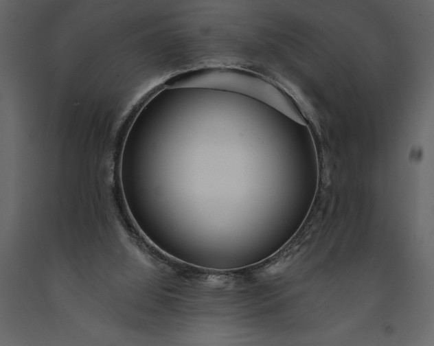 X0000091230060200708231703