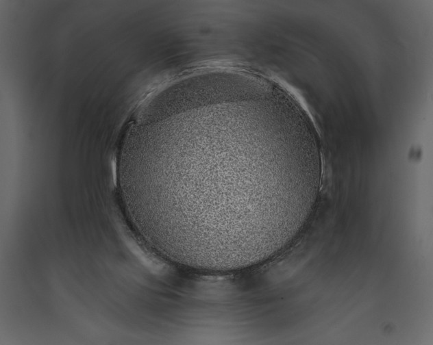 X0000091230061200708231703