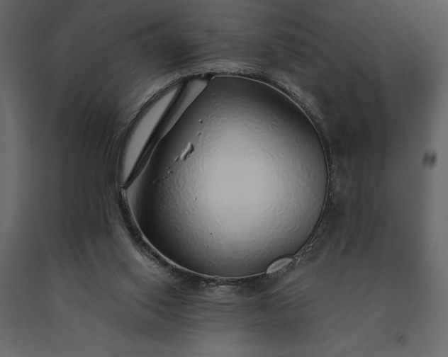 X0000091230062200708231703